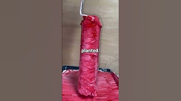 What is the best revenge you