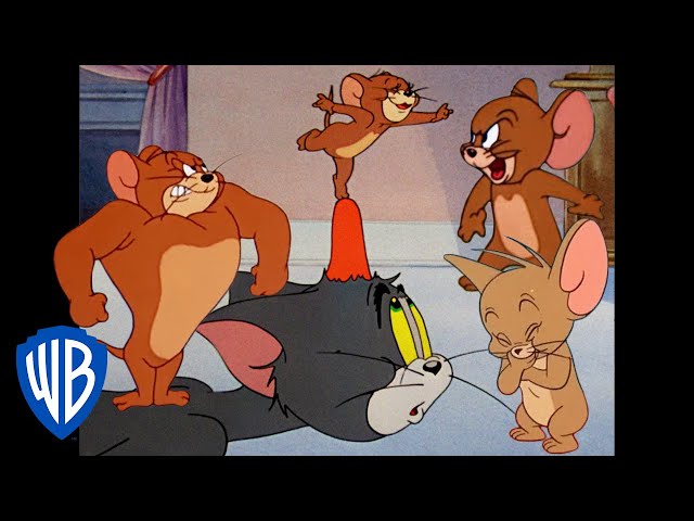 Tom & Jerry | Jerry in Full Force 🐭 | Classic Cartoon Compilation | @WB Kids class=