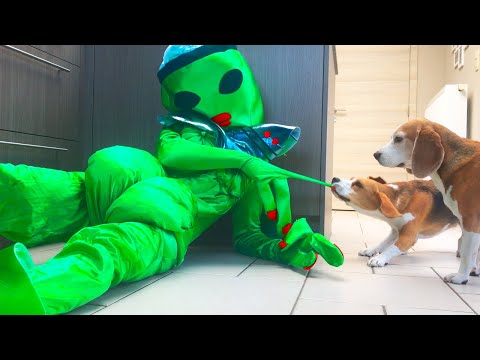 dogs-vs-alien-prank!