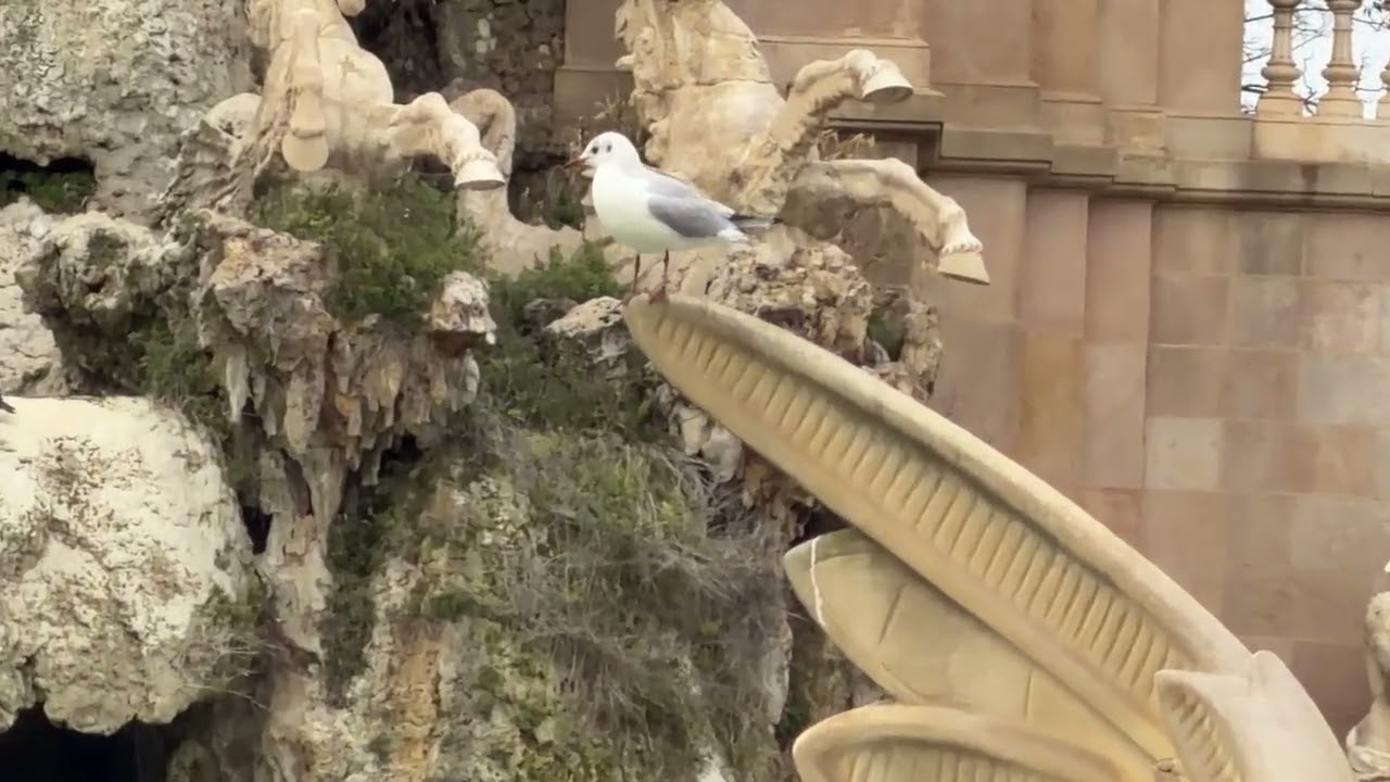 Monday, 26 January 2026 at 17:24