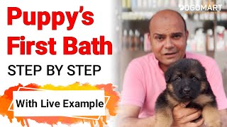 New Puppy First Bath  Live Example  Step By Step Pet Grooming  How to bathe dog Baadal Bhandaari