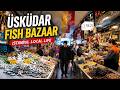 Walking Through Üsküdar Fish Bazaar to the Seaside | Istanbul Local Life