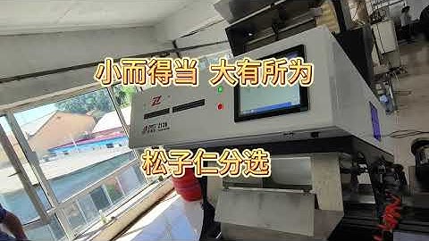AMD Pine Nuts Color Sorting Machine