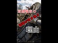東側戦車は被弾すると、なぜ砲塔が吹き飛ぶのか。　#shorts