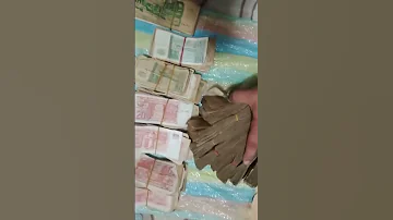 استخراج كنز في الجزائر كنوز ودفائن 
