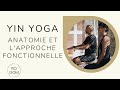 Cours de yin yoga  anatomie et lapproche fonctionnelle