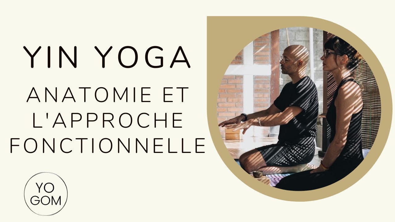 Cours de Yin Yoga : Anatomie et l'Approche Fonctionnelle