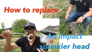 How to replace an impact sprinkler head