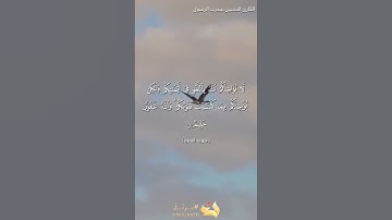 من سورة البقرة بصوت القارئ الحسين عبدرب الرسول محمد #القرآن_الكريم #اكسبلور#المصحف