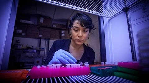 Reconstructing Evolution: A Molecular Time Machine