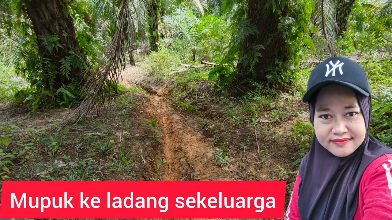 Mupuk ke ladang sekeluarga mumpung pada libur