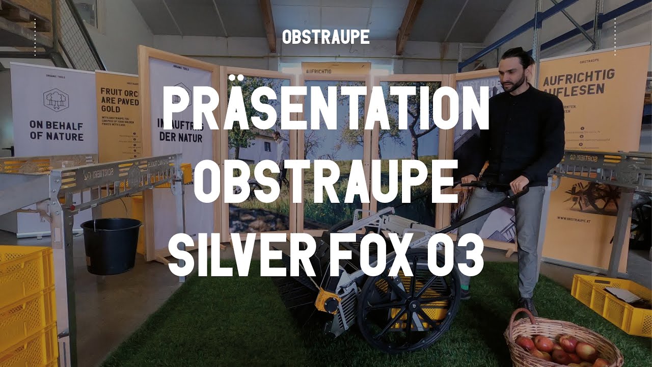 Obstraupe Silver Fox 03 - Der gefräßige Nützling für Deine Obsternte