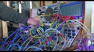 296e Exploration: Are Electronic Birds Real