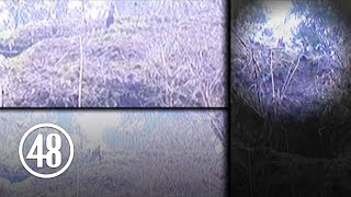 Prosecution aims to prove Casto death was no accident