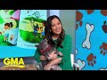 ABC News’ Eva Pilgrim and dog Walter share details of new book l GMA