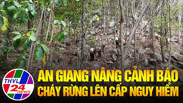 An Giang nâng cảnh báo cháy rừng lên cấp nguy hiểm