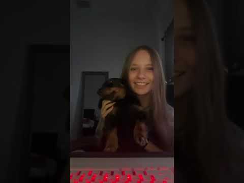 Кто хотел увидеть собаку Николь ???