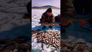 #fishing #зимняя_рыбалка #рыбалка #ловля #рыба #окунь #плотва #щука #лещ #весна #рекомендации #рек