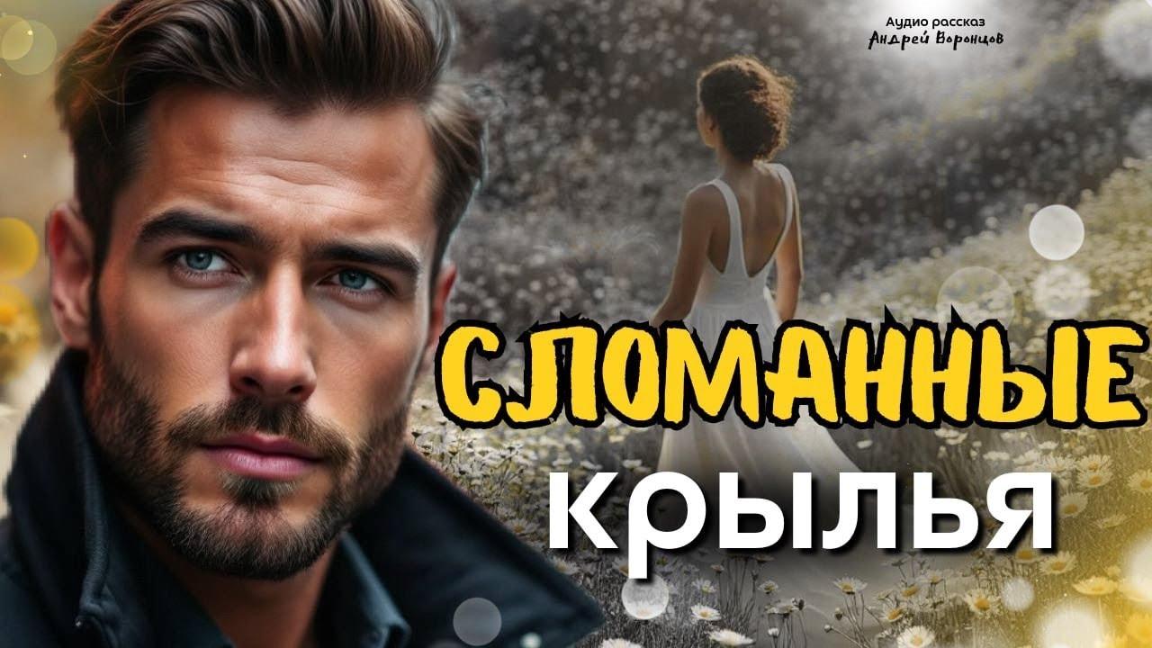 Сломанные крылья