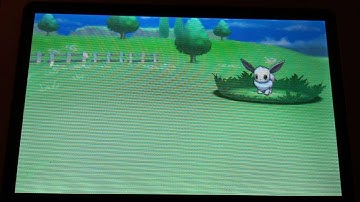 Shiny Eevee!!! Pokemon X and Y