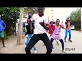 Rayvanny - Mwamba ( official dance) video