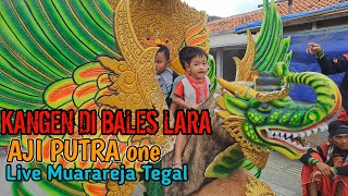 KANGEN DI BALES LARA ❗️❗️❗️ BUROK AJI PUTRA LIVE MUARAREJA TEGAL
