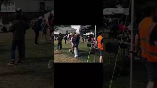 Melo At Benton Park School Leeds, Uk