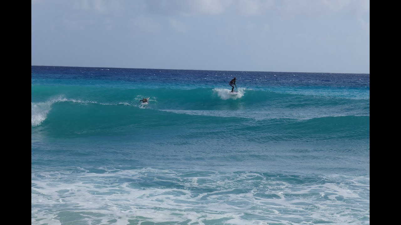 Barbados Surfing & SUP Surfing YouTube