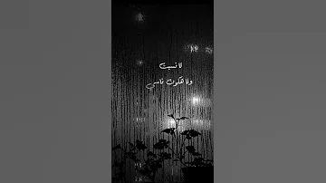 رامي صبري بين الحيطان حالات مع الكلمات Shorts 