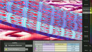 Interactive Case Membrane Transport | Cogent Education