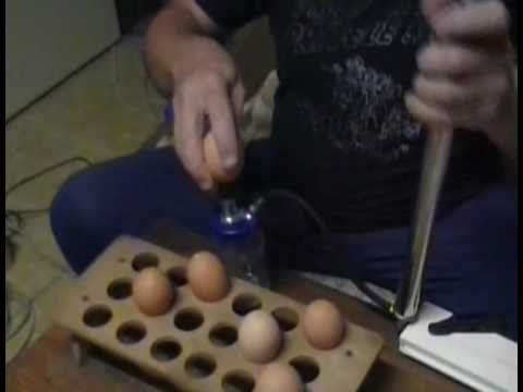Video: Jak Doma Zkontrolovat čerstvost Vajec