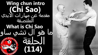 وينج تشون مقدمة عن مهارات الايدي الملتصقة تشي ساو wing chun chi sao intro