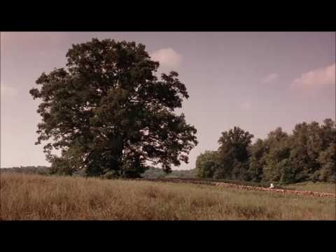 Thomas Newman - Any Other Name