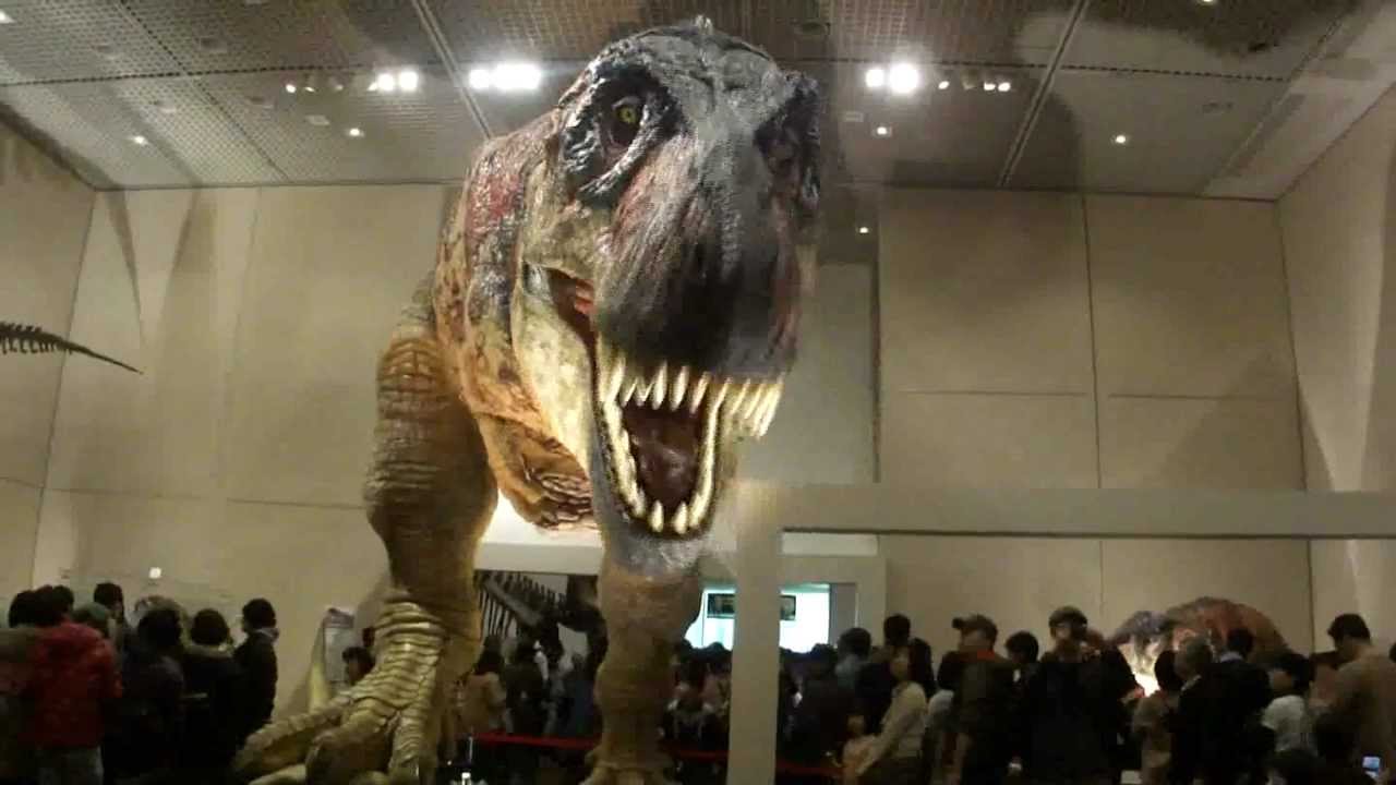 ティラノサウルス 新説恐竜の成長 大阪市立自然史博物館 Youtube