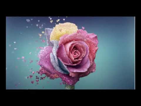 爪　　ちあきなおみ    nail    Naomi   Chiaki
