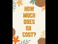How Much Does IUI Cost? | What to know about insurance | Lesbian TTC Journey