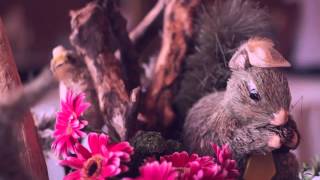 Squirrel Fantasy Garden - Pauline Lippmann