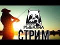 РР4#Поиск Фарма#Рулетки#Боксы#Клипы на заказ(Trovo и VkPlay)#