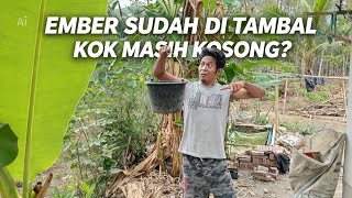 FIXED THE LEAK BUT STILL EMPTY? - Continuing the Morning Stories from the Village