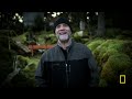 Man vs. Nature (Full Episode) | Port Protection Alaska | National Geographic