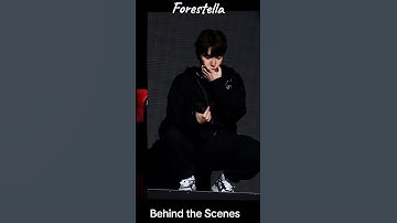 Thumbnail of Forestella The Illusionist back stages