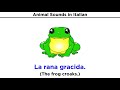 Animal Communication and Sounds