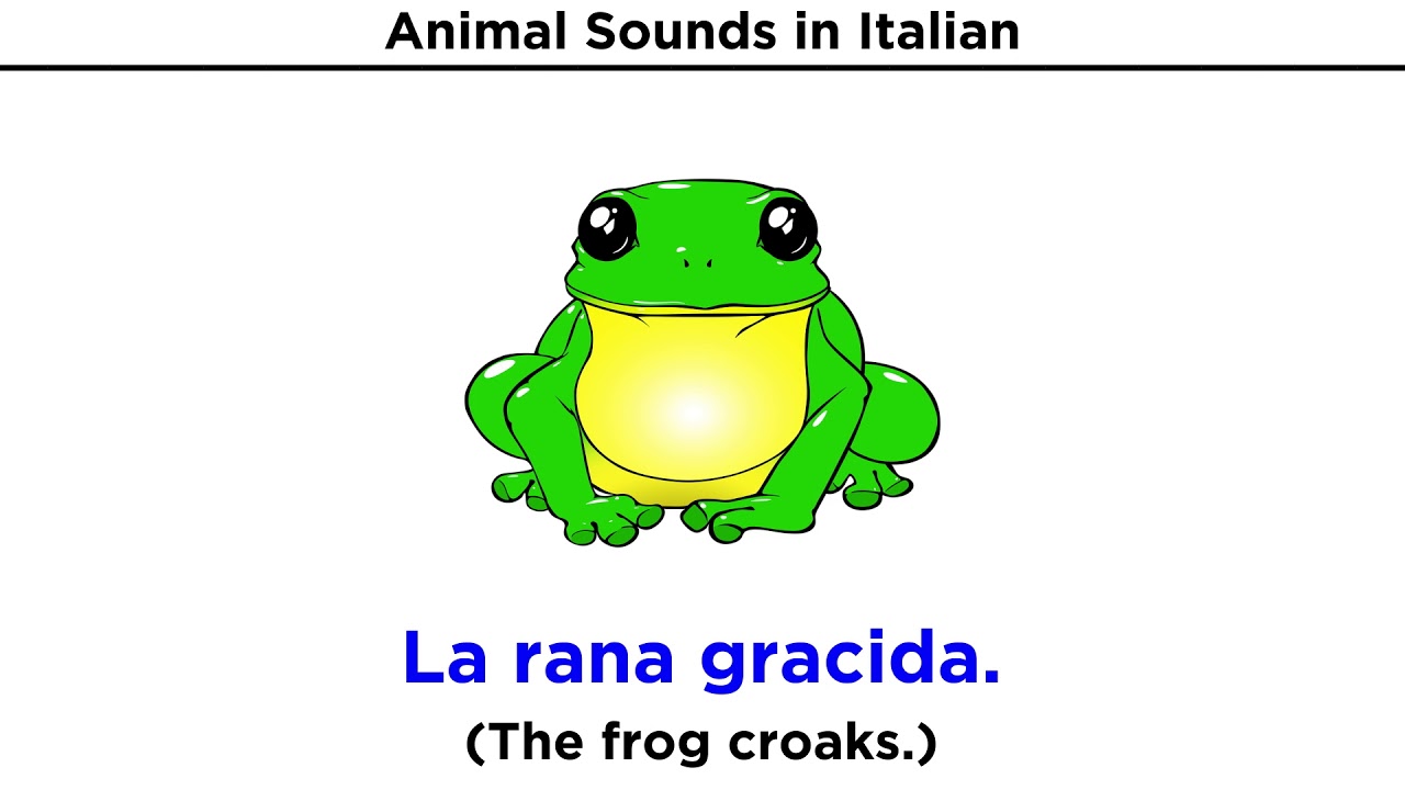 Italian Vocabulary - Animal Sounds