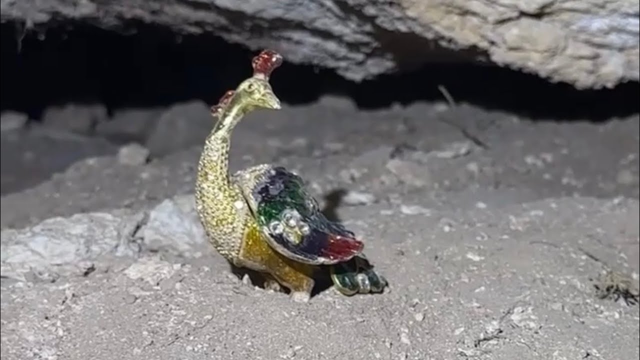 الزعيم يحصل على طاووس من الذهب ويحرق الجن والرصد  ويحصل على مسبحه منفعة للبشر