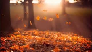 Melodic Progressive House mix Vol 79 (Afterglow)