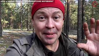 Репортаж со съемок фильма, эпизод - БОРОВИКИ, БЕЛЫЕ ГРИБЫ Репортаж со съемок фильма, эпизод - БОРОВИКИ, БЕЛЫЕ ГРИБЫ
