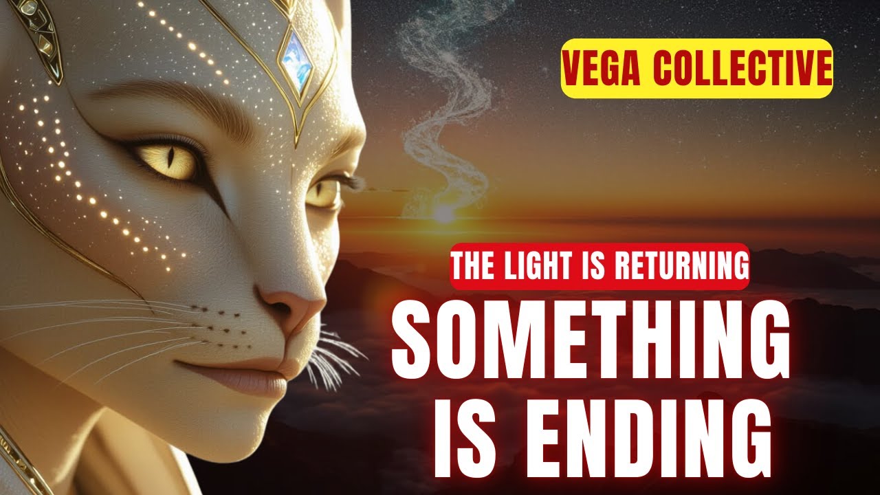 [Vega Collective] Нельзя игнорировать знаки… Что-то подходит к концу… И почти никто этого не пред...