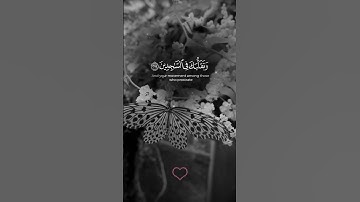 🌺القرآن الكريم 🌺ما تيسر من سورة الشعراء