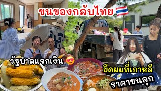 Download Lagu EP.975 My brother and his wife are preparing to return to Thailand soon due to illness. MP3 Download Lagu EP.975 My brother and his wife are preparing to return to Thailand soon due to illness. MP3