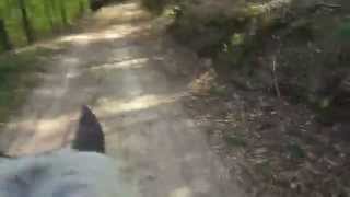 Lustiger Ausritt Mit Julia Und Lea